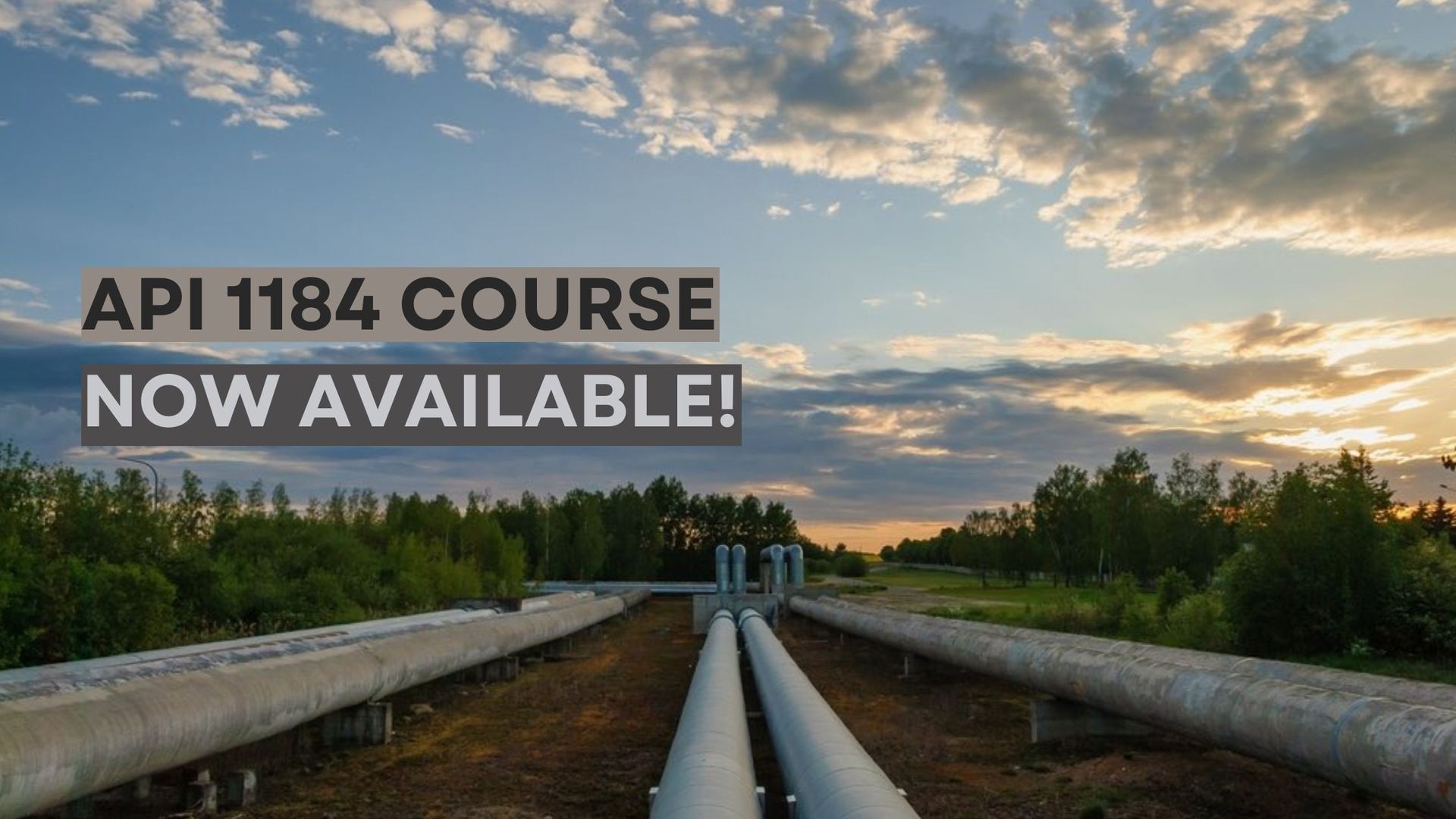 Announcing the Launch of Our API 1184 Online Course! | Atlas Training